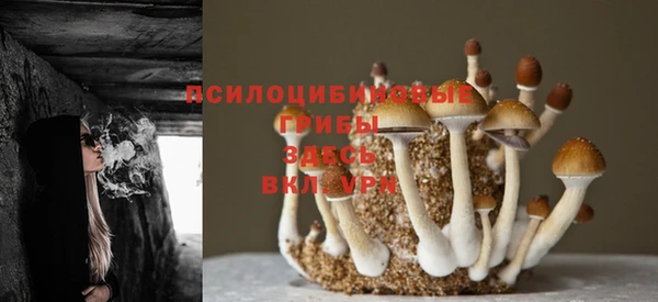 ECSTASY Богородицк