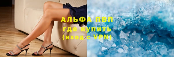 ECSTASY Богородицк