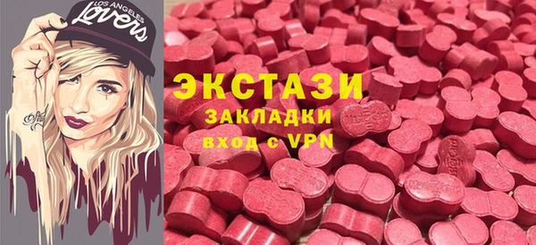 ECSTASY Богородицк